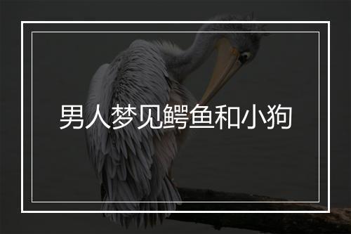 男人梦见鳄鱼和小狗