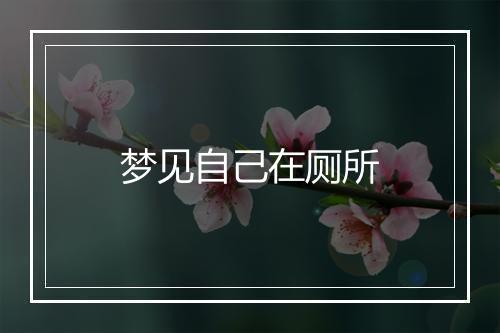 梦见自己在厕所