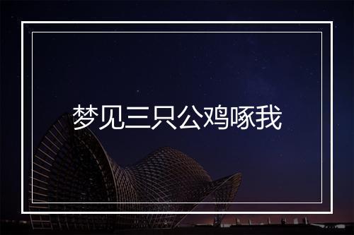 梦见三只公鸡啄我