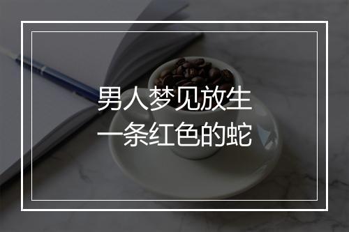 男人梦见放生一条红色的蛇