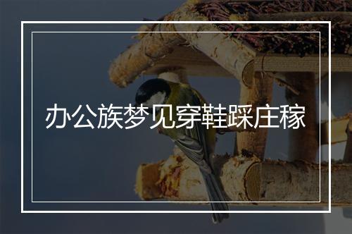 办公族梦见穿鞋踩庄稼