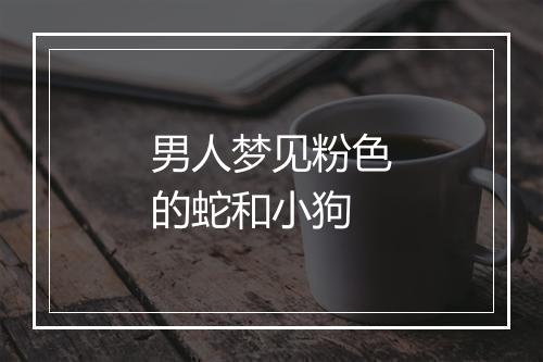 男人梦见粉色的蛇和小狗