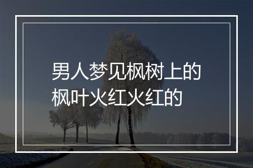 男人梦见枫树上的枫叶火红火红的