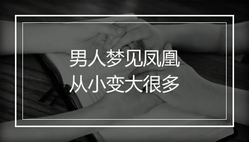 男人梦见凤凰从小变大很多