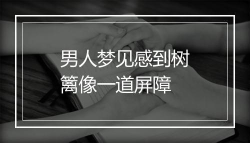 男人梦见感到树篱像一道屏障