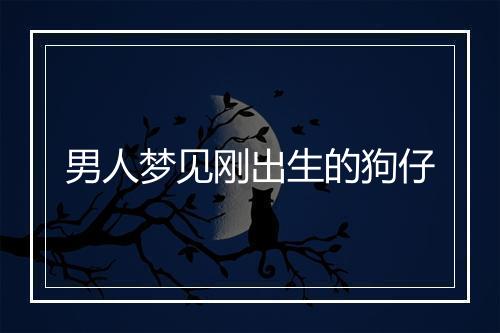 男人梦见刚出生的狗仔