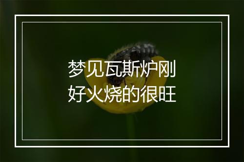 梦见瓦斯炉刚好火烧的很旺