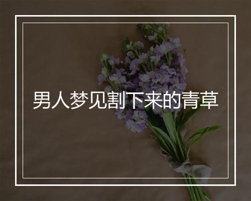 男人梦见割下来的青草