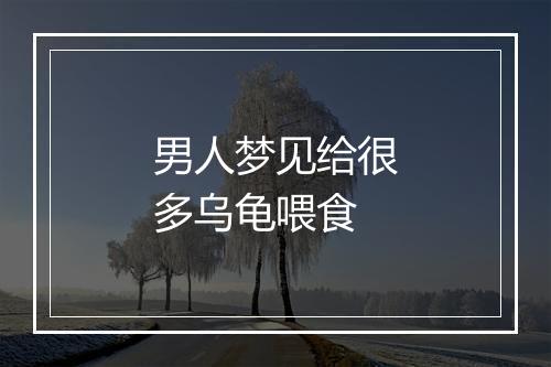 男人梦见给很多乌龟喂食