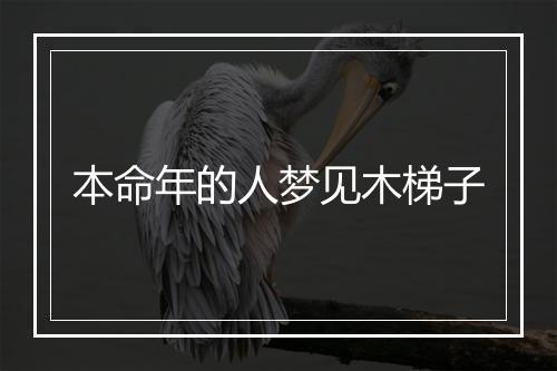 本命年的人梦见木梯子