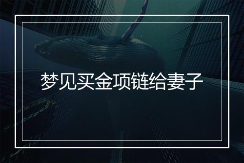 梦见买金项链给妻子