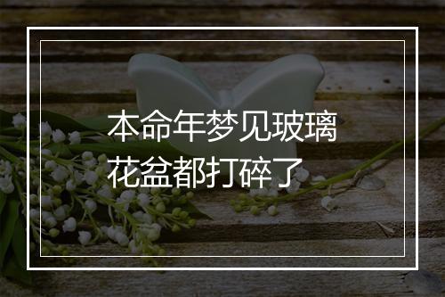 本命年梦见玻璃花盆都打碎了