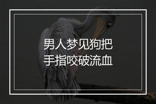 男人梦见狗把手指咬破流血