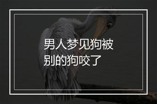 男人梦见狗被别的狗咬了