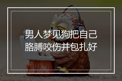 男人梦见狗把自己胳膊咬伤并包扎好