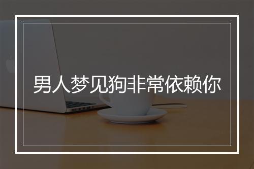 男人梦见狗非常依赖你