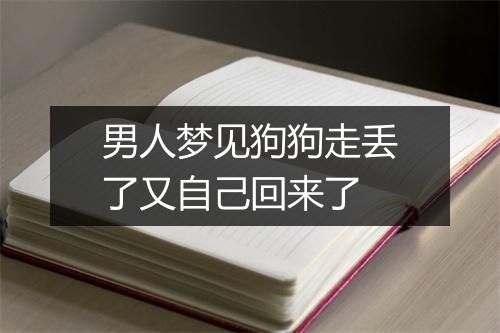 男人梦见狗狗走丢了又自己回来了