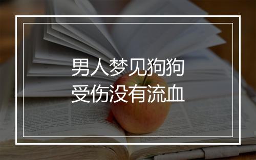 男人梦见狗狗受伤没有流血