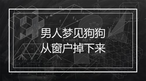 男人梦见狗狗从窗户掉下来