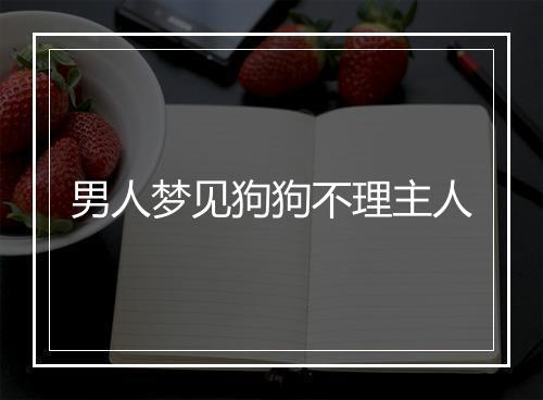 男人梦见狗狗不理主人