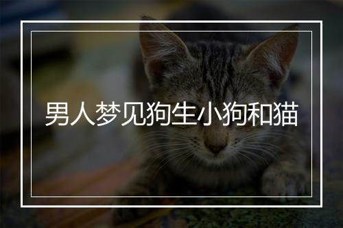 男人梦见狗生小狗和猫