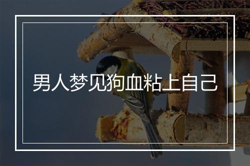 男人梦见狗血粘上自己