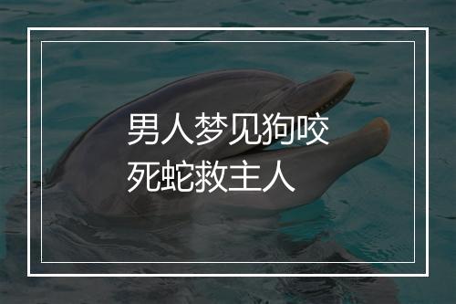 男人梦见狗咬死蛇救主人