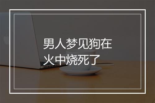 男人梦见狗在火中烧死了