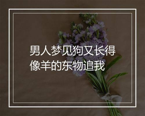 男人梦见狗又长得像羊的东物追我