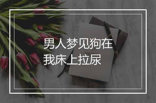 男人梦见狗在我床上拉尿