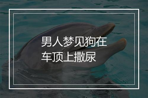 男人梦见狗在车顶上撒尿