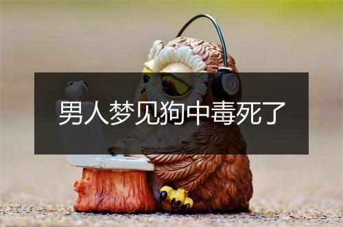 男人梦见狗中毒死了