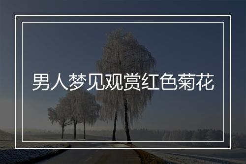 男人梦见观赏红色菊花