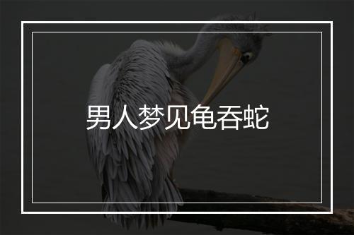 男人梦见龟吞蛇