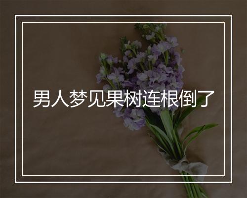 男人梦见果树连根倒了