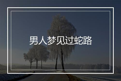 男人梦见过蛇路