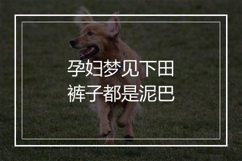 孕妇梦见下田裤子都是泥巴