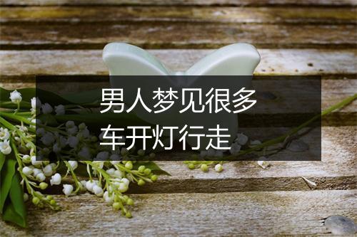 男人梦见很多车开灯行走