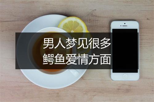 男人梦见很多鳄鱼爱情方面