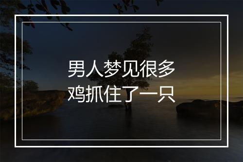 男人梦见很多鸡抓住了一只