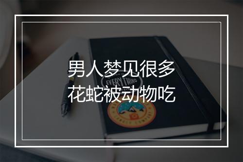 男人梦见很多花蛇被动物吃