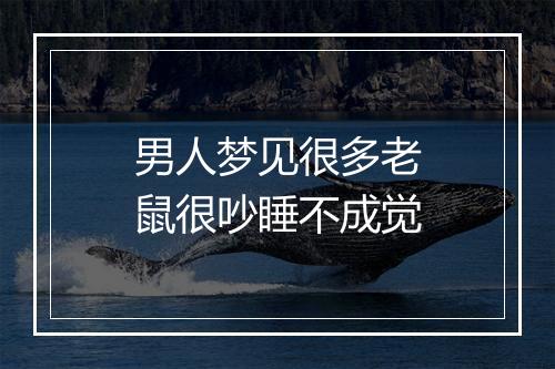 男人梦见很多老鼠很吵睡不成觉