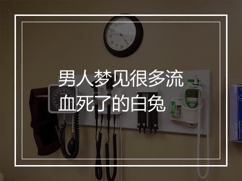 男人梦见很多流血死了的白兔