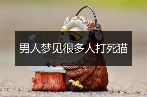 男人梦见很多人打死猫