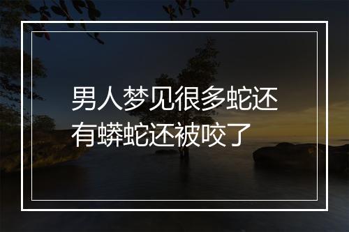 男人梦见很多蛇还有蟒蛇还被咬了