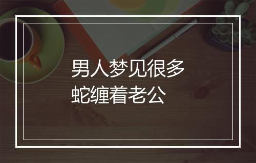 男人梦见很多蛇缠着老公