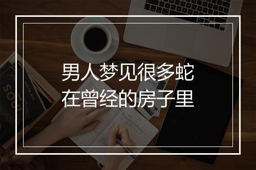 男人梦见很多蛇在曾经的房子里