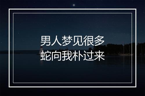 男人梦见很多蛇向我朴过来