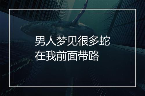 男人梦见很多蛇在我前面带路