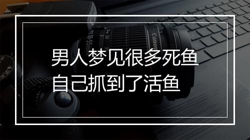 男人梦见很多死鱼自己抓到了活鱼